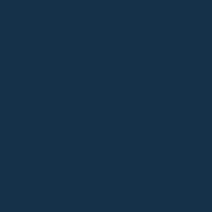 رنوو 606